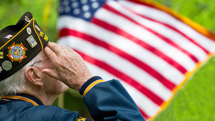 Veteran Salute Veteran Salute